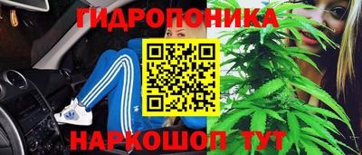ГАЛЛЮЦИНОГЕННЫЕ ГРИБЫ Краснокаменск