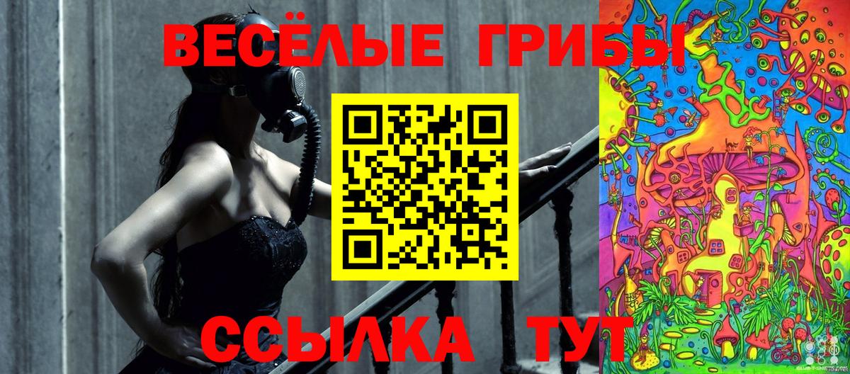 Псилоцибиновые грибы мицелий Шатура
