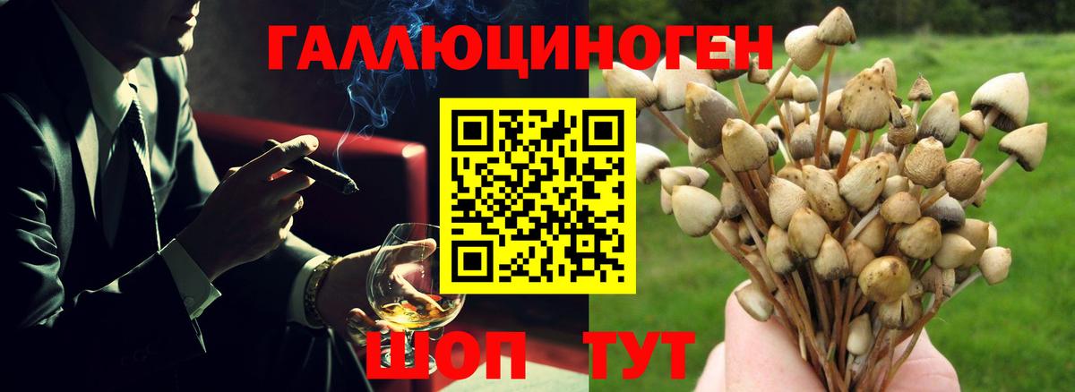 Галлюциногенные грибы Cubensis  Вход с VPN  Шатура 